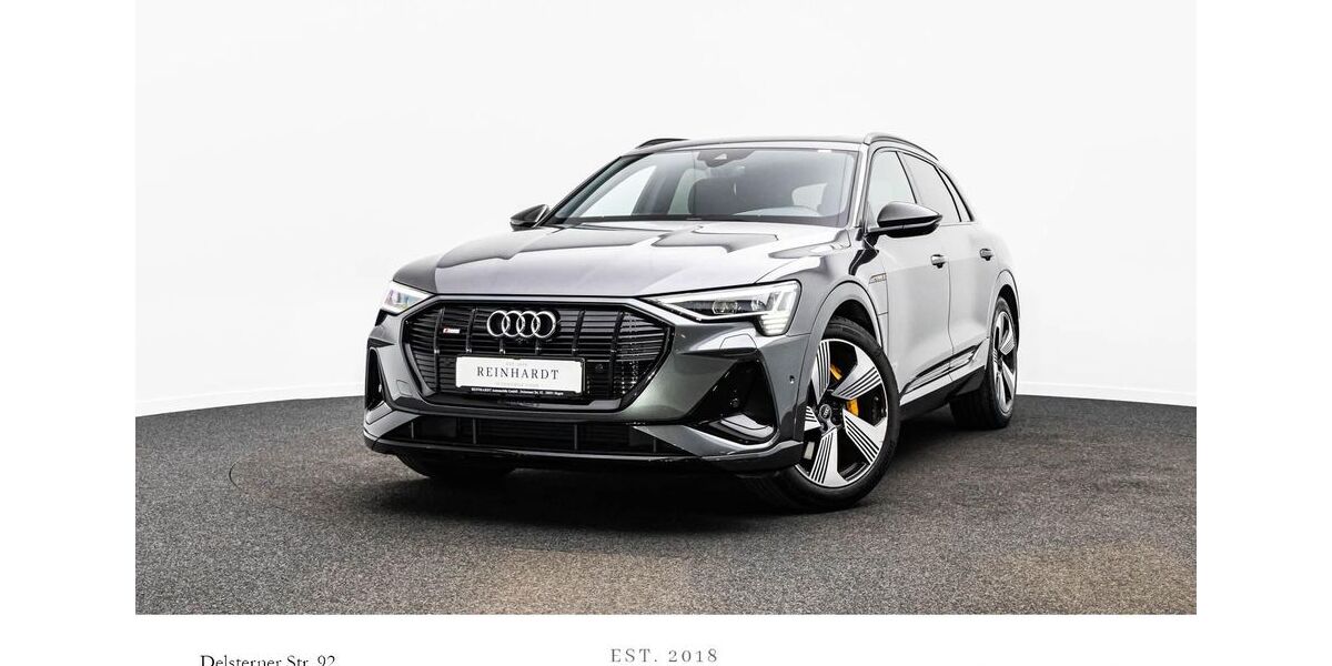 Audi e-tron 60.610 km 28.805 &euro; Hagen 58091