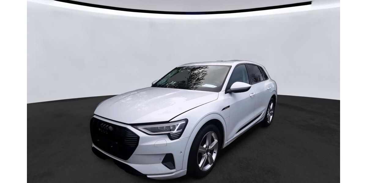 Audi e-tron 26.191 km 27.900 &euro; Hagen 58091