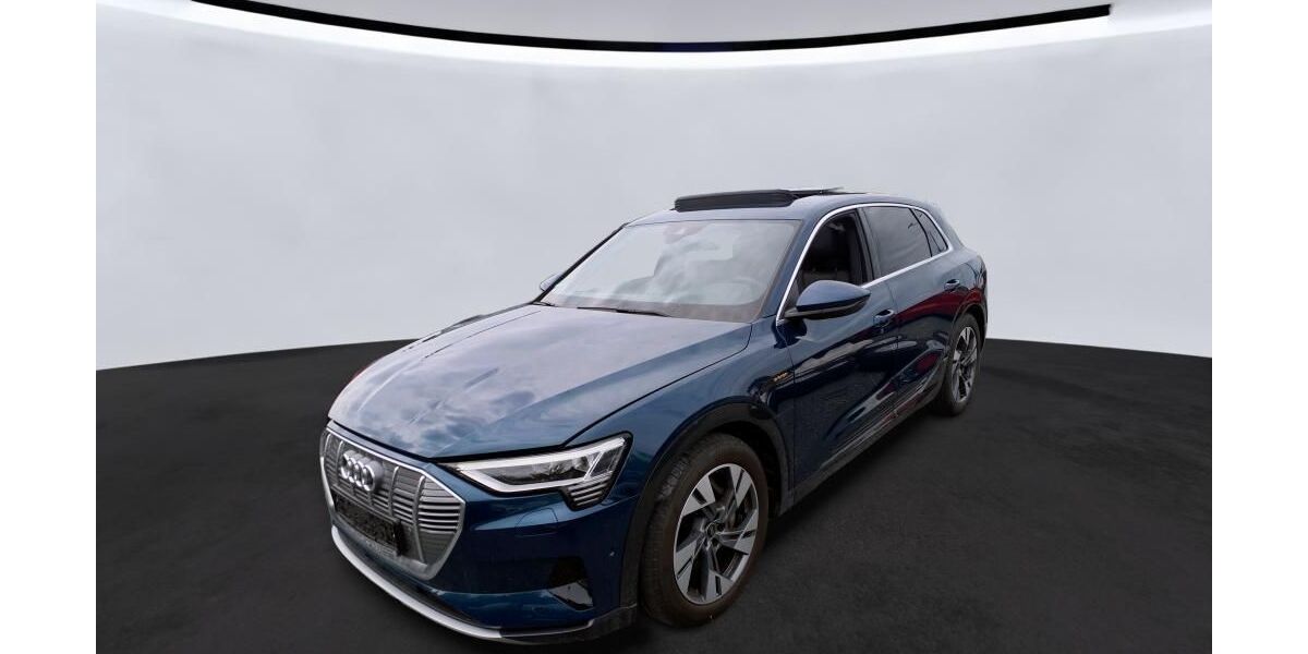 Audi e-tron 31.424 km 31.450 &euro; Hagen 58091
