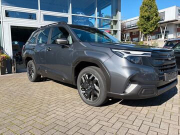 Gebrauchte Subaru Forester
