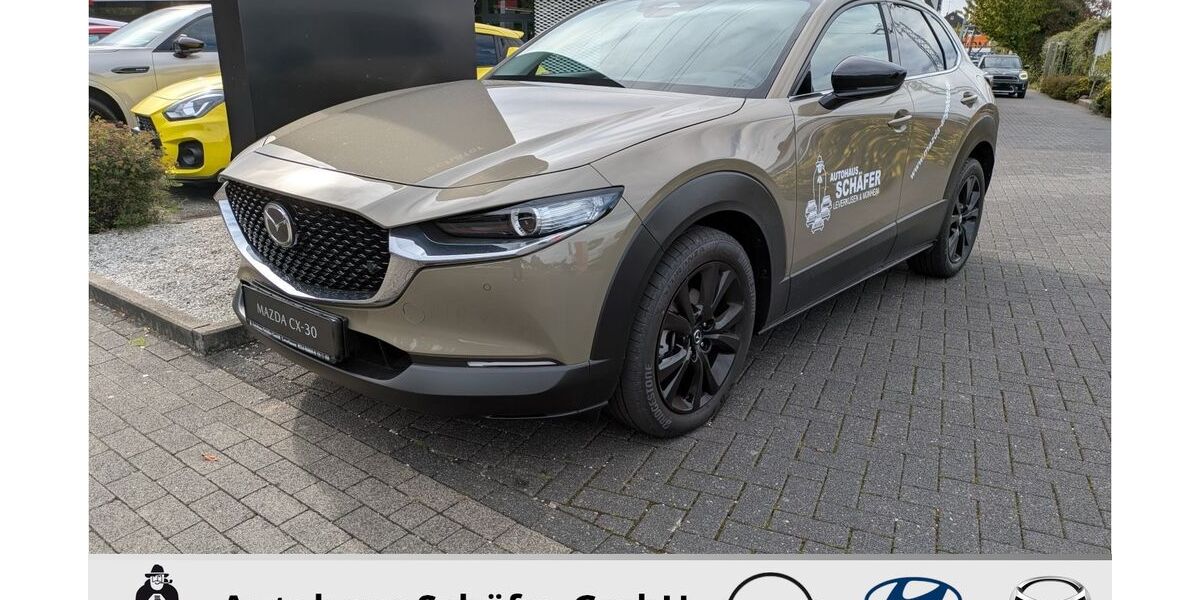 Mazda CX-30 2.738 km 26.498 &euro; Leverkusen 51373