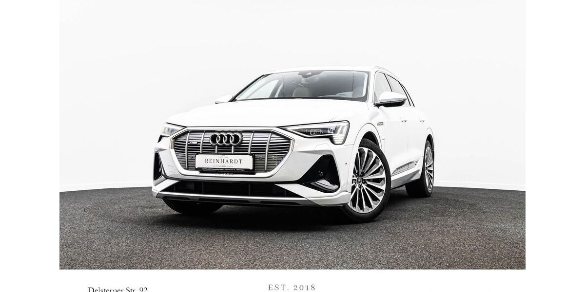 Audi e-tron 69.917 km 31.785 &euro; Hagen 58091