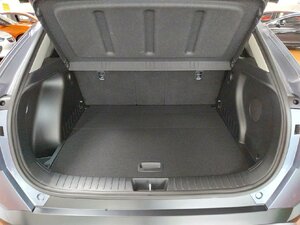 Hyundai Kona Prime 2WD AHK Bose SHZ LHZ Navi Kam 12.578 km 25.480 &euro; HAAN 42781