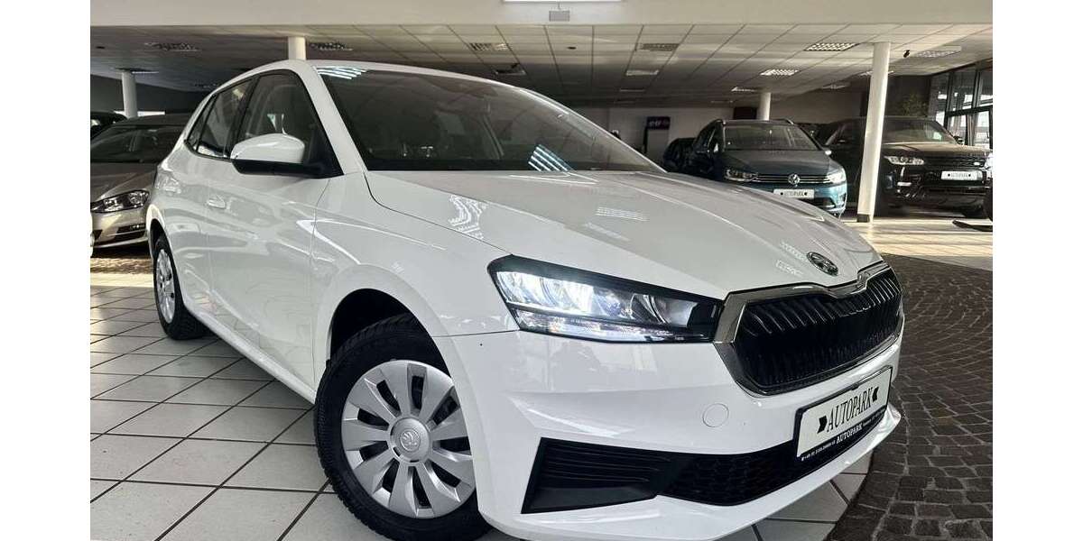 Skoda Fabia 200.000 km 9.950 &euro; Hilden (bei Düsseldorf) 40721