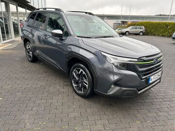 Gebrauchte Subaru Forester